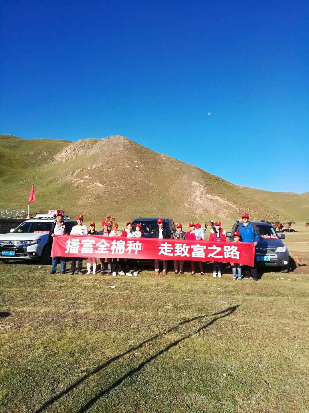 播富全棉種，走致富之路